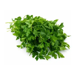 سبزی جعفری