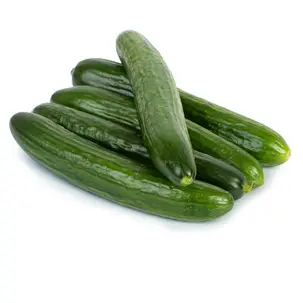 خیار