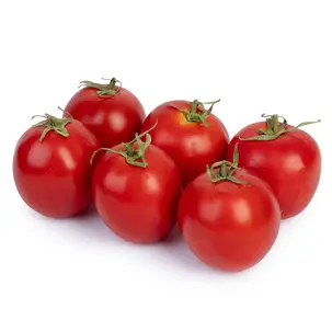 گوجه فرنگی
