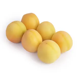 زردآلو